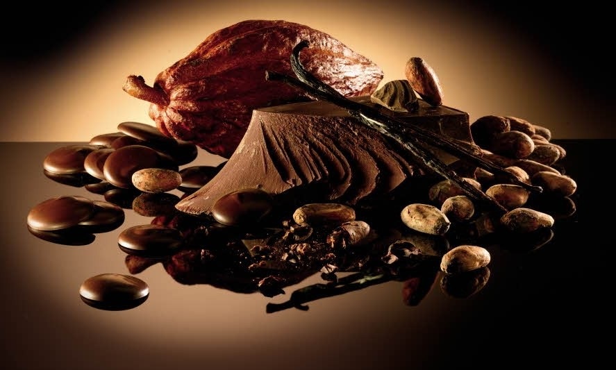 Белколад темный Нуар Селексьон 55 % какао в таблетках от кондитерского магазина Фрезье https://fraisier.ru