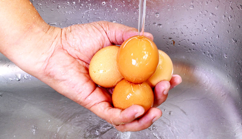 CLEAN EGG - дезинфицирующая жидкость для скорлупы яиц (концентрат) от кондитерского магазина Фрезье https://fraisier.ru